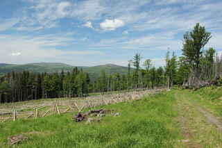 Pohled z JZ úbočí hory Skalka. Vlevo hora Plesná/Debrník (1336 m n.m.), vpravo hora Ždánidla (1308 m .n.m), mezi nimi vzadu vrchol Polomu (1295 m.n.)