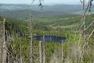 Prášilské jezero