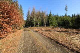 Cesta směrem k vrcholu Plošina (972 m n..m)