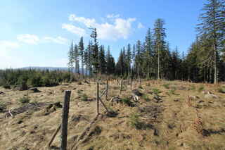 Na vrcholu hory Plošina (972 m n.m.)