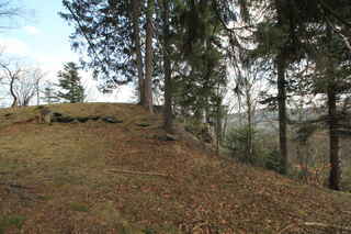 Tomšovic skála