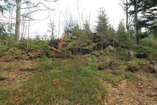 Vrchol hory Kamenáč (989 m n.m.)