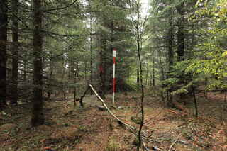 Geodetický bod na vrcholu Hůreckého vrchu (1099 m n.m.)