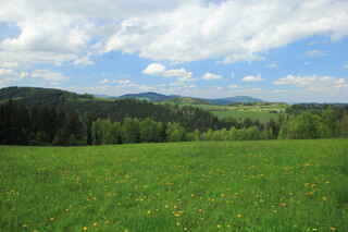 Kopce Nuzerovská stráž 802 m n.m. a Volšovská stráž 790 m n.m. (uprostřed), Svatobor 845 m n.m. (od středu vpravo)