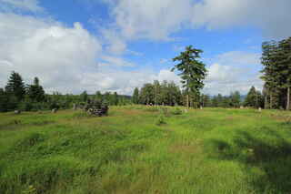 Vrchol hory Habr (1203 m n.m.)