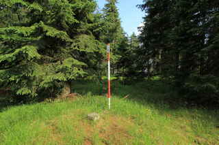 Vrchol hory Můstek (1235 m n.m.)