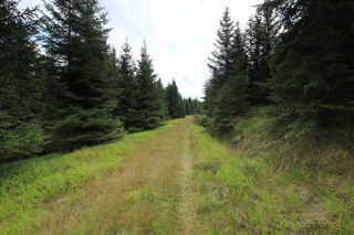 Po Adámkově svážnici pod vrcholem hory Skalka (1238 m n.m.)