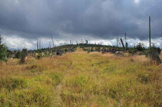 Pohled směrem k hoře Poledník (1315 m n.m.)