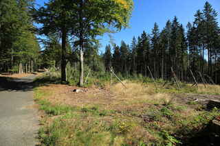 Cesta na Hofmanky