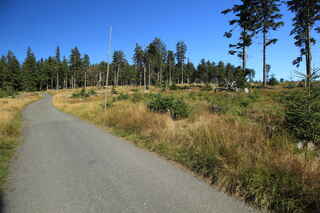 Pod vrcholem hory Habr (1203 m n.m.)