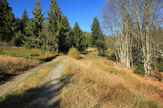 Formberg