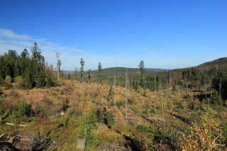 Pohled na Hůrecký vrch (1099 m n.m.)