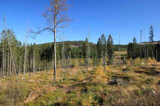 Vpředu hora Vysoká hůl (1206 m n.m.)