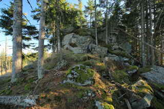 Vrcholová skalka na hoře Dřevěná hůl (1206 m n.m.)