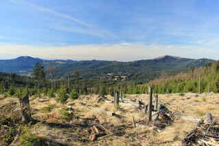 Pohled z mýtiny pod Sklářským vrchem. Vlevo v údolí Ž.Ruda, nad ní německý Velký Javor (1456 m n.m.), vpravo Jezerní hora (1343 m n.m.) a Špičák (1202 m n.m.)