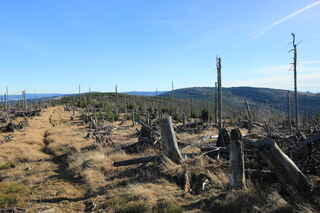 Výhled z vrcholu. Vzadu hora Poledník (1315 m n.m.), vpravo Debrník/Plesná (1336 m n.m.)