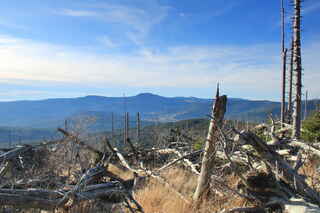 Uprostřed vzadu Velký Javor (1456 m n.m.)