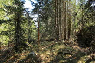 Triangulační bod na vrcholu hory Slunečná (996 m n.m.)