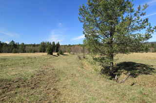 Sklářské údolí