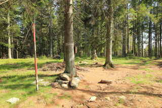 Vrchol hory Křemelná (1125 m n.m.)