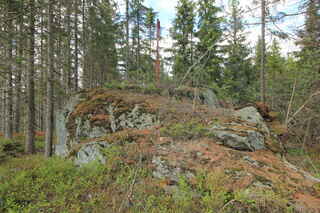 Severní vrchol hory Oblík (1127 m n.m.)