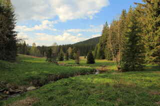 Plavební potok