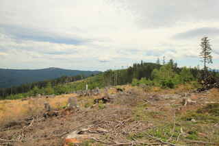 Výhled z Malého Špičáku - Vzadu více vlevo Pancíř (1214 m n.m.), Vpředu více vpravo Špičák (1202 m n.m.)