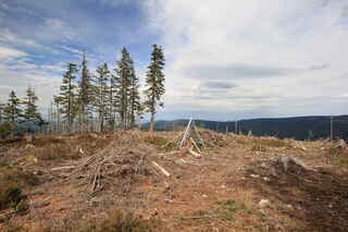 Vrchol Malého Špičáku (1191 m n.m.)