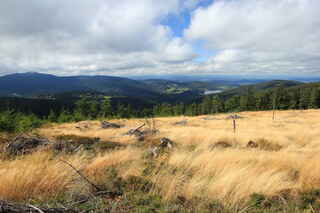 Pohled do údolí nýrské přehrady. Vpravo vrchol Prenet (1071 m n.m.), vlevo v mracích vrchol hory Ostrý (1293 m n.m.), pod ním je vidět Hojsova Stráž