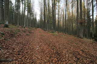Cesta "Skelná"