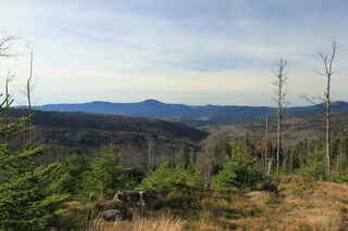Pohled na německý Velký Javor (1456 m n.m.), úplně vpravo Jezerní hora (1343 m n.m.)