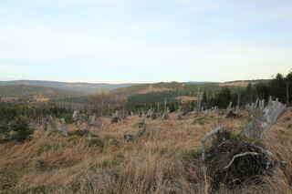 Dřevěná hůl (1206 m n.m.)