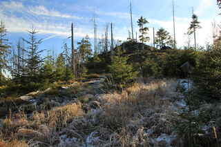 Vrchol Dolních Ždánidel (1017 m n.m)