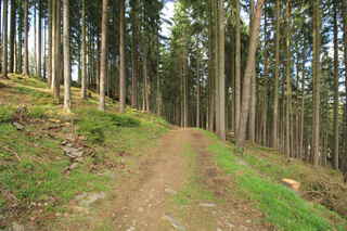 Po úbočí hory Jakubice (853 m n.m.)