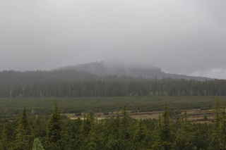 Pohled přes Jezerní slať na v mlze se ztrácející vrchol hory Sokol (1253 m n.m.)