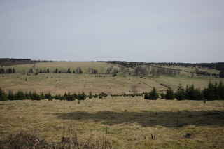 I.zóna NP Zhůřské louky- vpředu, vzadu na horizontu Hadí vrch (1021 m n.m.)