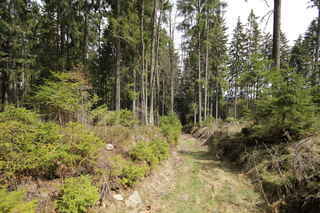 Lesní cestou podél býv. Předních Šmauzů