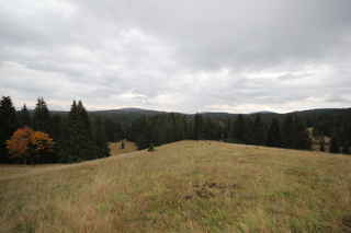 Pohled východním směrem na Polecký vrch (1121 m n.m.)