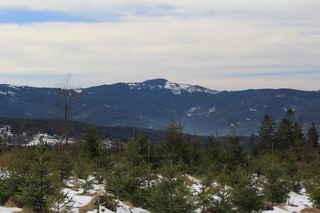 Pohled z rozcestí "Na Sjezdovce" na vrchol hory Ostrý (1293 m n.m.)