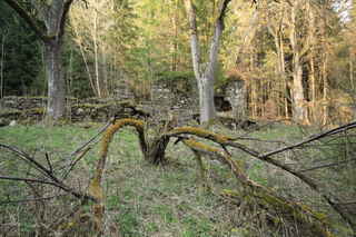 Zbytky bývalé chalupy na Wunderbachu