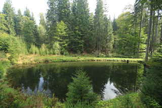 Malý rybník na Račím potoce před rozcestím Šeravská Huť, t.č. v mapách nenalezen ;)