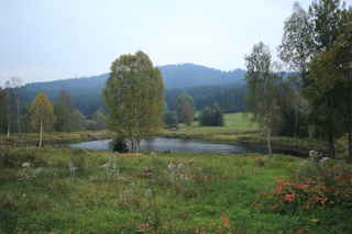 Nádrž v Polce. Přítokem je Polecký potok a odbočka z Teplé Vltavy. Odsud teče voda k vodní elektrárně. Vzadu Žlíbský vrch (1133 m n.m.)