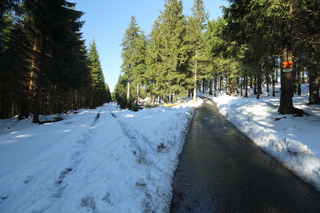 Rozcestí na cestě vedoucí ze Špičáckého sedla na můstek (doleva) a na vrchol hory Pancíř (1214 m n.m.) (doprava)
