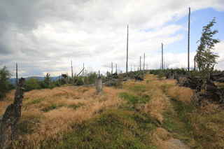 V sedle mezi oběma vrcholy Polomu - pohled na vedlejší vrchol (1291 m n.m.)