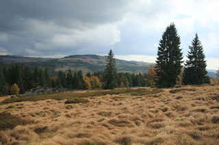 Pohled na kopec Kiesruck (1265 m n.m.), za ním vykukují oba Roklany (1399 a 1453 m n.m.)