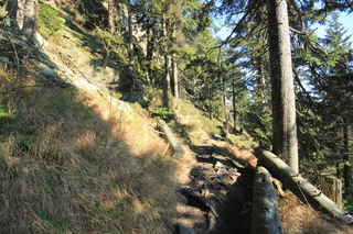 Dolů od vrcholu po červené směrem na Lohberg, kde se po chvíli sejde z této cesty na hřebenovku