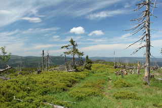 Pohled S směrem od Poledníku k vrcholu hory Skalka (1238 m n.m.)
