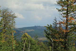 Pohled na vrchol hory Poledník (1315 m n.m.) s rozhlednou z cesty u Zlatého stolečku