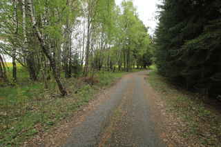Za Kunkovicemi vpravo po lesní zpevněné cestě ke žluté tst. cestě směr Jarkovice