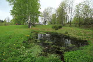 Rybník v Jarkovicích